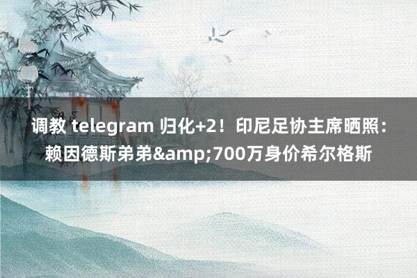 调教 telegram 归化+2！印尼足协主席晒照：赖因德斯弟弟&700万身价希尔格斯