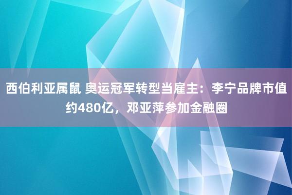 西伯利亚属鼠 奥运冠军转型当雇主：李宁品牌市值约480亿，邓亚萍参加金融圈