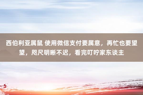 西伯利亚属鼠 使用微信支付要属意，再忙也要望望，咫尺明晰不迟，看完叮咛家东谈主