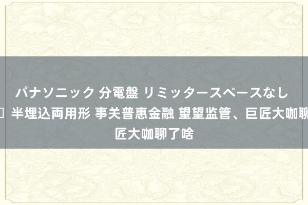 パナソニック 分電盤 リミッタースペースなし 露出・半埋込両用形 事关普惠金融 望望监管、巨匠大咖聊了啥