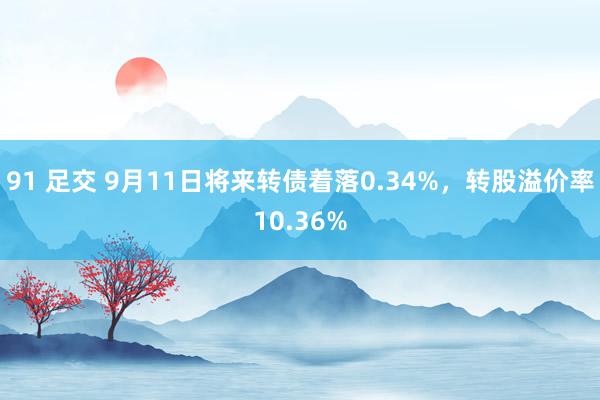 91 足交 9月11日将来转债着落0.34%，转股溢价率10.36%