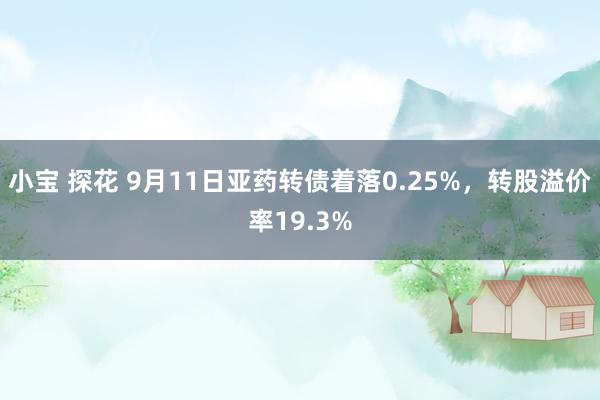 小宝 探花 9月11日亚药转债着落0.25%，转股溢价率19.3%