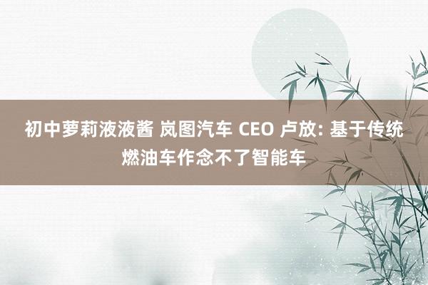 初中萝莉液液酱 岚图汽车 CEO 卢放: 基于传统燃油车作念不了智能车