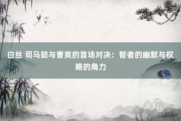 白丝 司马懿与曹爽的首场对决：智者的幽默与权略的角力