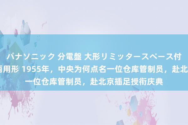 パナソニック 分電盤 大形リミッタースペース付 露出・半埋込両用形 1955年，中央为何点名一位仓库管制员，赴北京插足授衔庆典