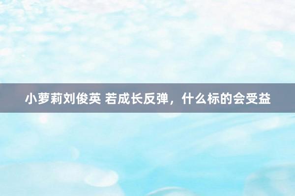 小萝莉刘俊英 若成长反弹，什么标的会受益