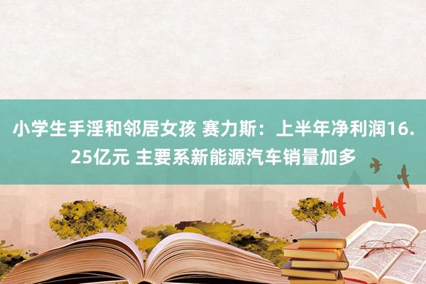 小学生手淫和邻居女孩 赛力斯：上半年净利润16.25亿元 主要系新能源汽车销量加多