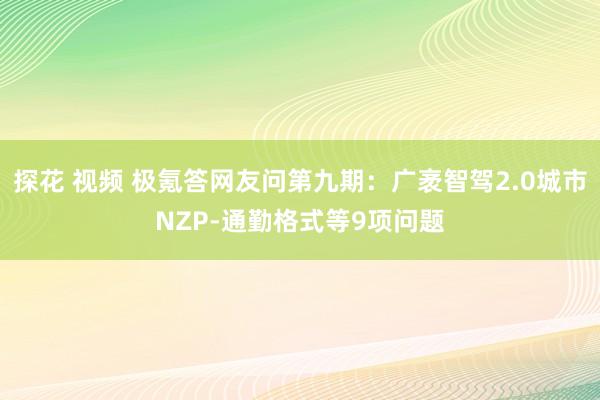 探花 视频 极氪答网友问第九期：广袤智驾2.0城市NZP-通勤格式等9项问题