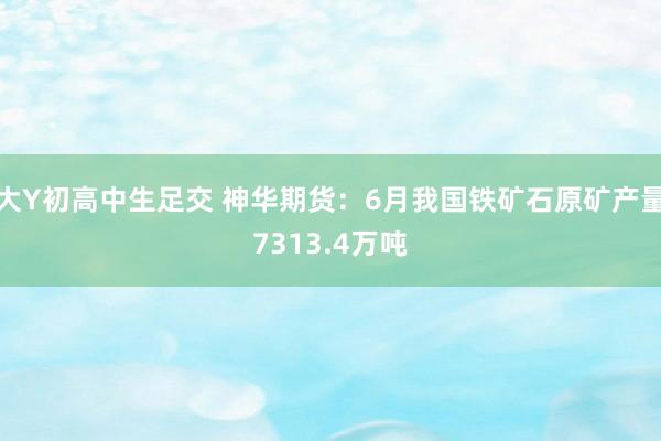 大Y初高中生足交 神华期货：6月我国铁矿石原矿产量7313.4万吨