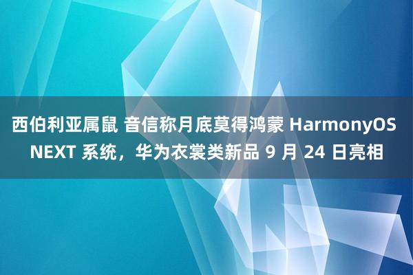 西伯利亚属鼠 音信称月底莫得鸿蒙 HarmonyOS NEXT 系统，华为衣裳类新品 9 月 24 日亮相