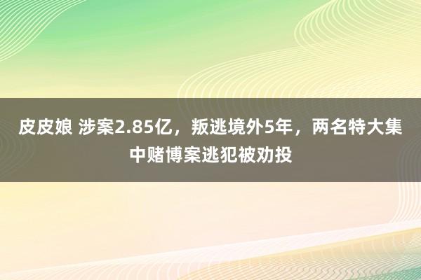 皮皮娘 涉案2.85亿，叛逃境外5年，两名特大集中赌博案逃犯被劝投