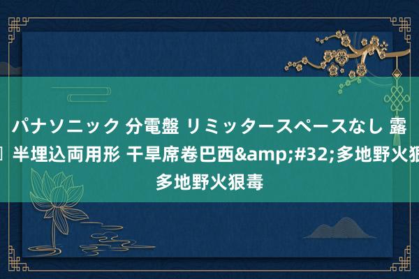 パナソニック 分電盤 リミッタースペースなし 露出・半埋込両用形 干旱席卷巴西&#32;多地野火狠毒