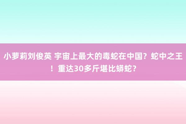 小萝莉刘俊英 宇宙上最大的毒蛇在中国？蛇中之王！重达30多斤堪比蟒蛇？