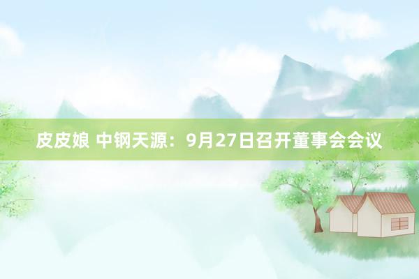 皮皮娘 中钢天源：9月27日召开董事会会议