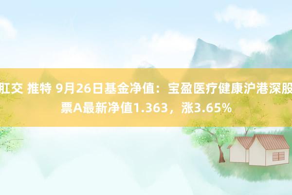 肛交 推特 9月26日基金净值：宝盈医疗健康沪港深股票A最新净值1.363，涨3.65%