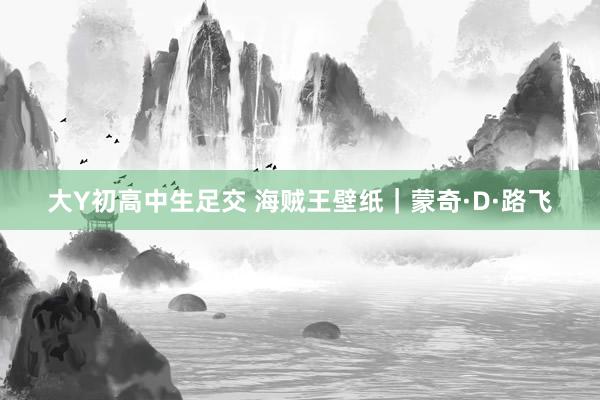 大Y初高中生足交 海贼王壁纸｜蒙奇·D·路飞