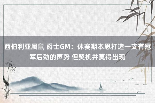 西伯利亚属鼠 爵士GM：休赛期本思打造一支有冠军后劲的声势 但契机并莫得出现