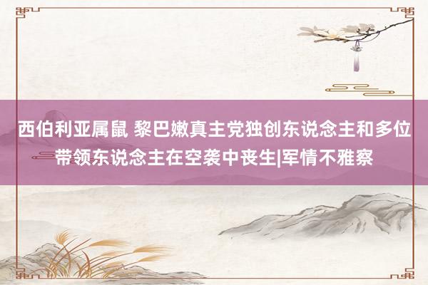 西伯利亚属鼠 黎巴嫩真主党独创东说念主和多位带领东说念主在空袭中丧生|军情不雅察