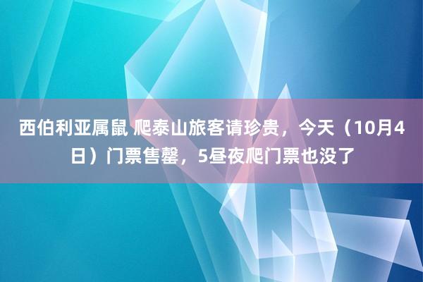 西伯利亚属鼠 爬泰山旅客请珍贵，今天（10月4日）门票售罄，5昼夜爬门票也没了