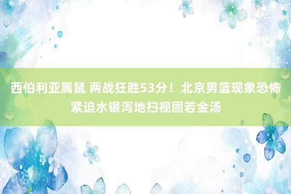 西伯利亚属鼠 两战狂胜53分！北京男篮现象恐怖紧迫水银泻地扫视固若金汤