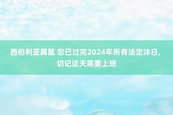 西伯利亚属鼠 您已过完2024年所有法定沐日， 切记这天需要上班