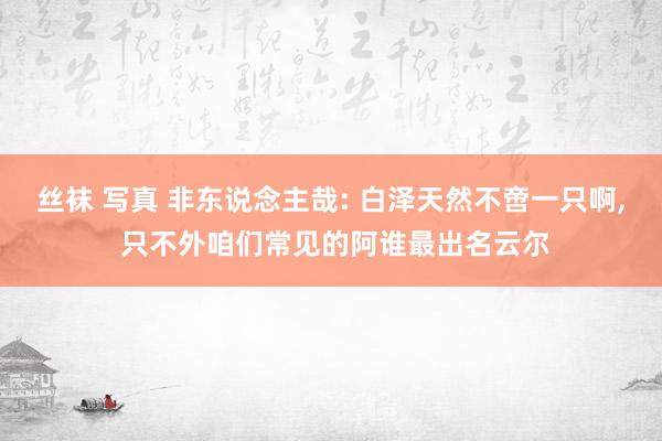 丝袜 写真 非东说念主哉: 白泽天然不啻一只啊， 只不外咱们常见的阿谁最出名云尔