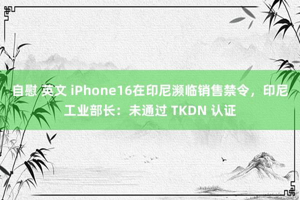 自慰 英文 iPhone16在印尼濒临销售禁令，印尼工业部长：未通过 TKDN 认证