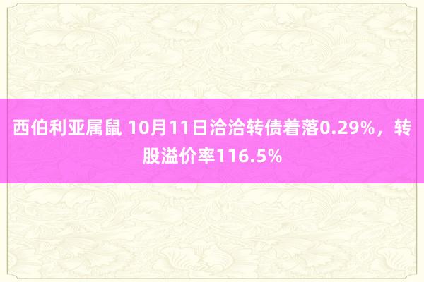 西伯利亚属鼠 10月11日洽洽转债着落0.29%，转股溢价率116.5%