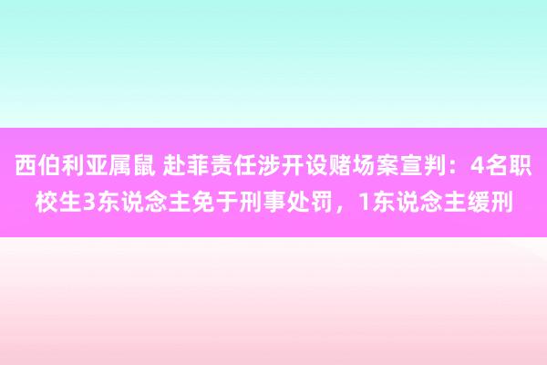 西伯利亚属鼠 赴菲责任涉开设赌场案宣判：4名职校生3东说念主免于刑事处罚，1东说念主缓刑