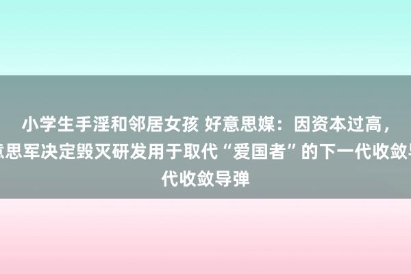 小学生手淫和邻居女孩 好意思媒：因资本过高，好意思军决定毁灭研发用于取代“爱国者”的下一代收敛导弹