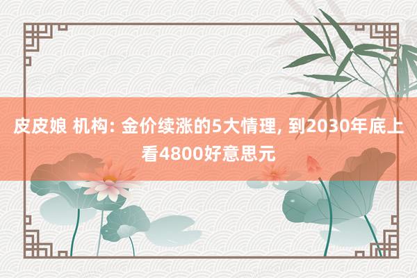 皮皮娘 机构: 金价续涨的5大情理， 到2030年底上看4800好意思元