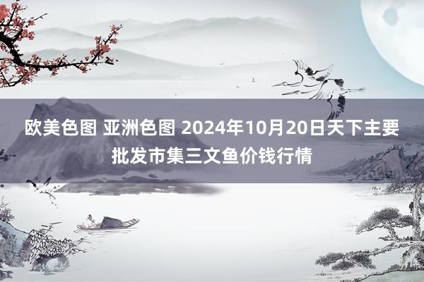 欧美色图 亚洲色图 2024年10月20日天下主要批发市集三文鱼价钱行情