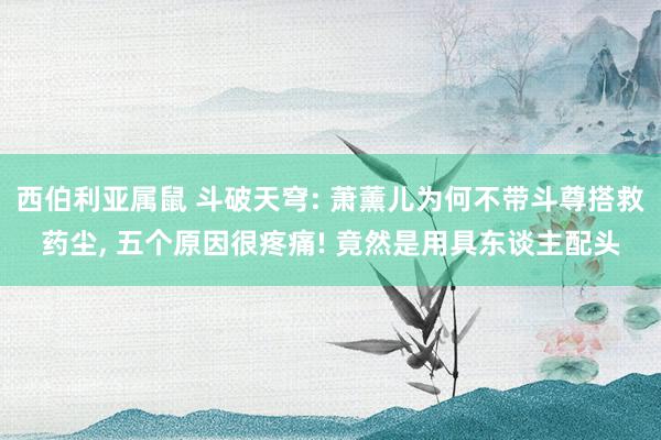 西伯利亚属鼠 斗破天穹: 萧薰儿为何不带斗尊搭救药尘， 五个原因很疼痛! 竟然是用具东谈主配头