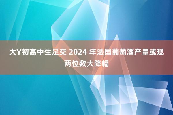 大Y初高中生足交 2024 年法国葡萄酒产量或现两位数大降幅