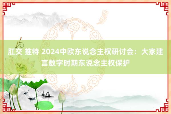 肛交 推特 2024中欧东说念主权研讨会：大家建言数字时期东说念主权保护