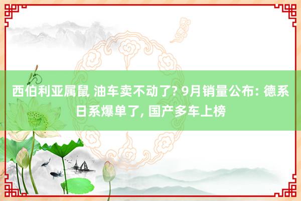 西伯利亚属鼠 油车卖不动了? 9月销量公布: 德系日系爆单了， 国产多车上榜