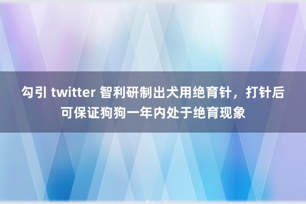 勾引 twitter 智利研制出犬用绝育针，打针后可保证狗狗一年内处于绝育现象