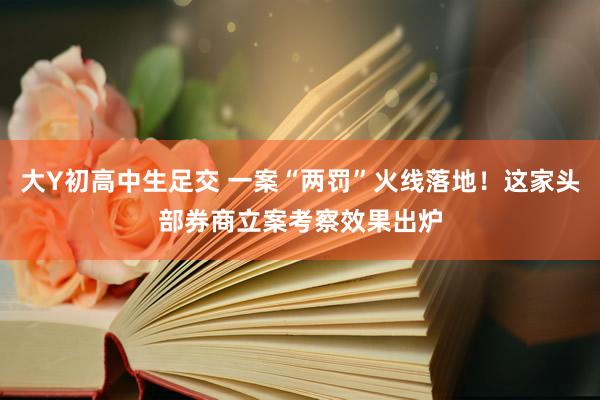 大Y初高中生足交 一案“两罚”火线落地！这家头部券商立案考察效果出炉