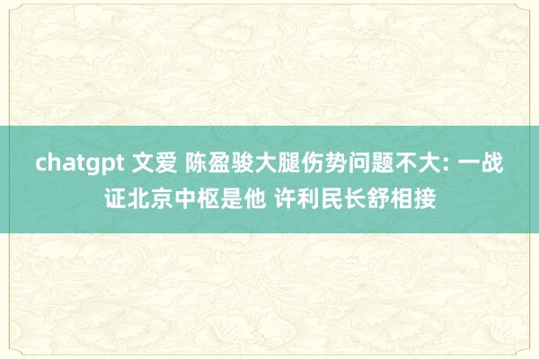 chatgpt 文爱 陈盈骏大腿伤势问题不大: 一战证北京中枢是他 许利民长舒相接