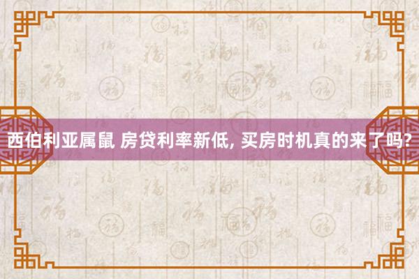 西伯利亚属鼠 房贷利率新低， 买房时机真的来了吗?