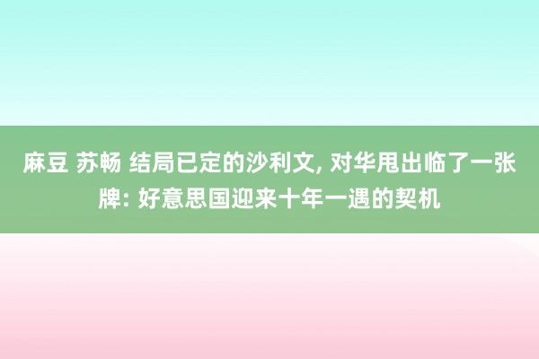 麻豆 苏畅 结局已定的沙利文， 对华甩出临了一张牌: 好意思国迎来十年一遇的契机