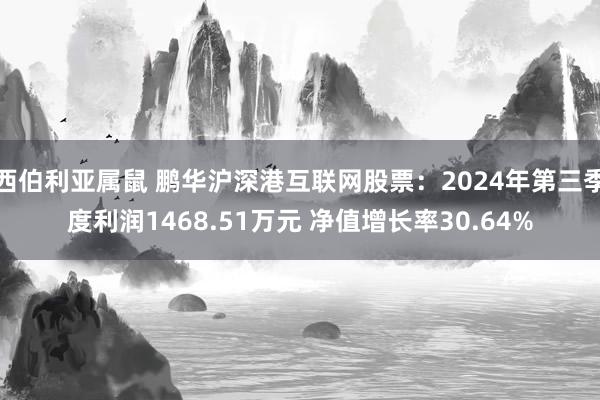 西伯利亚属鼠 鹏华沪深港互联网股票：2024年第三季度利润1468.51万元 净值增长率30.64%