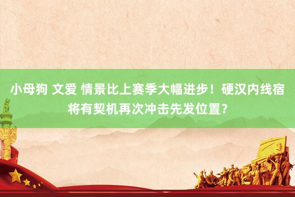 小母狗 文爱 情景比上赛季大幅进步！硬汉内线宿将有契机再次冲击先发位置？