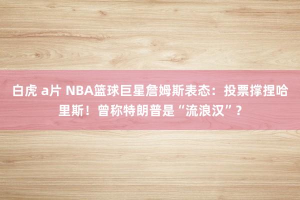 白虎 a片 NBA篮球巨星詹姆斯表态：投票撑捏哈里斯！曾称特朗普是“流浪汉”？