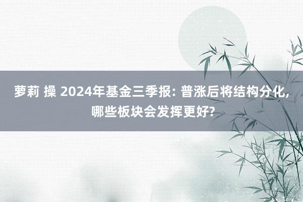 萝莉 操 2024年基金三季报: 普涨后将结构分化， 哪些板块会发挥更好?