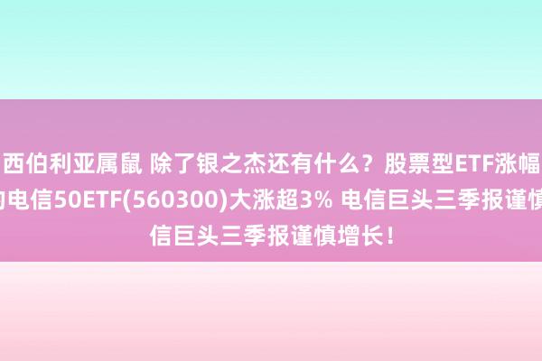 西伯利亚属鼠 除了银之杰还有什么？股票型ETF涨幅第一的电信50ETF(560300)大涨超3% 电信巨头三季报谨慎增长！