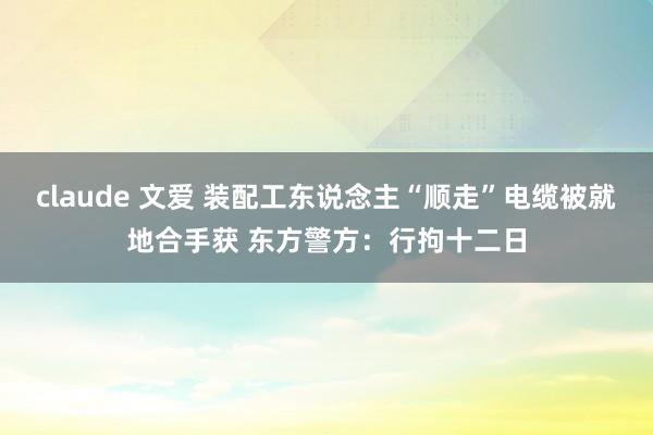 claude 文爱 装配工东说念主“顺走”电缆被就地合手获 东方警方：行拘十二日