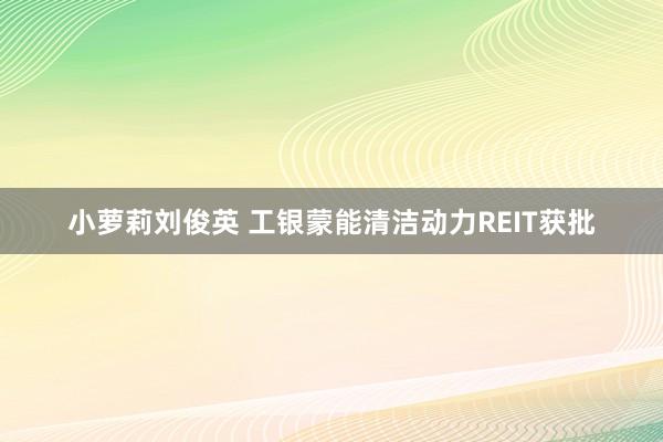 小萝莉刘俊英 工银蒙能清洁动力REIT获批