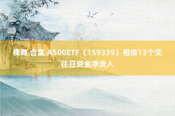 裸舞 合集 A500ETF（159339）相接13个交往日资金净流入