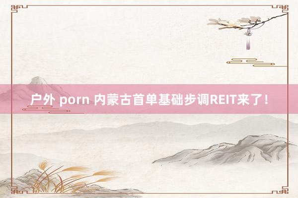 户外 porn 内蒙古首单基础步调REIT来了！